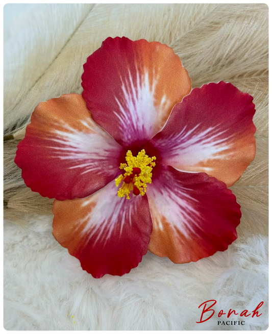 Hibiscus Sei (flower)