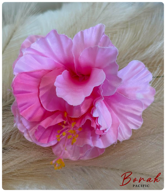 Fluffy Hibiscus Sei (flower)